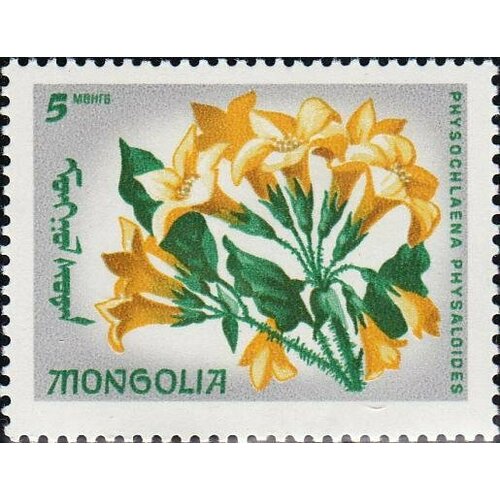 (1966-026) Марка Монголия Скополия физалисовая Эндемические цветы III Θ