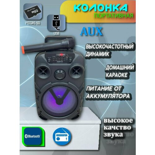 Портативная музыкальная колонка Bluetooch ZQS8122 300000₽