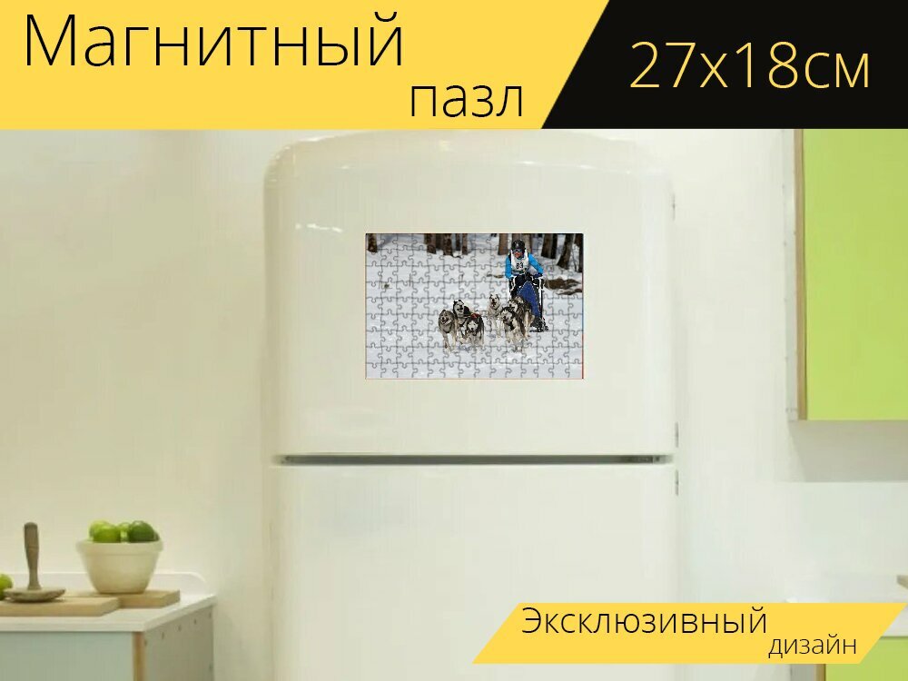 Магнитный пазл "Собачьи гонки на собачьих упряжках, погонщик, конкурс" на холодильник 27 x 18 см.