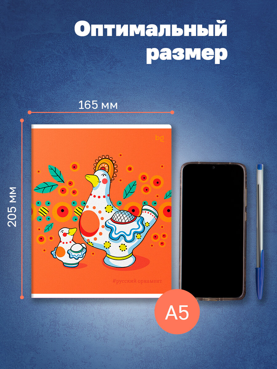 Тетрадь школьная в клетку 48 листов, формат А5 BG "Россия"/ Набор школьных тетрадей 5 штук — фото 1
