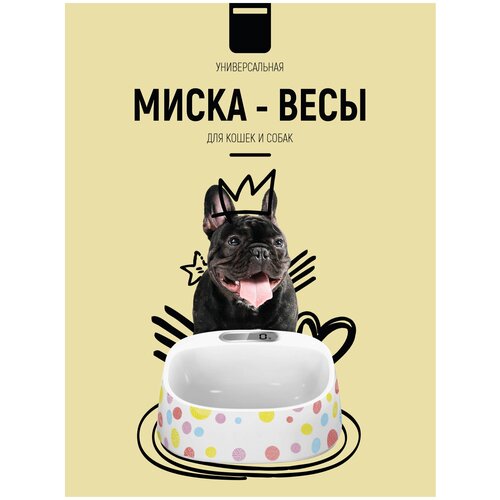 Миска для кошек и котят керамическая/Посуда для животных/миска для собак и котов