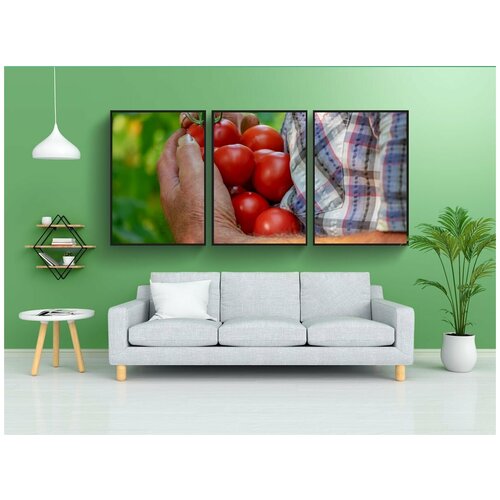 фото Набор модулных постеров для интерьера "помидоры, фрукты, красный" 60x90 см. в тубусе, без рамки lotsprints