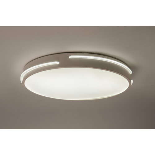 Потолочный светодиодный светильник Round_Solid-R500-60W 3000 - 6000К White