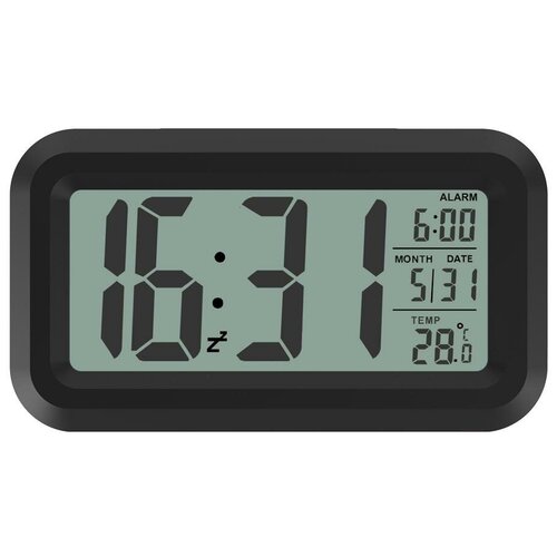 Метеостанция RITMIX CAT-100 с часами черный 84300₽