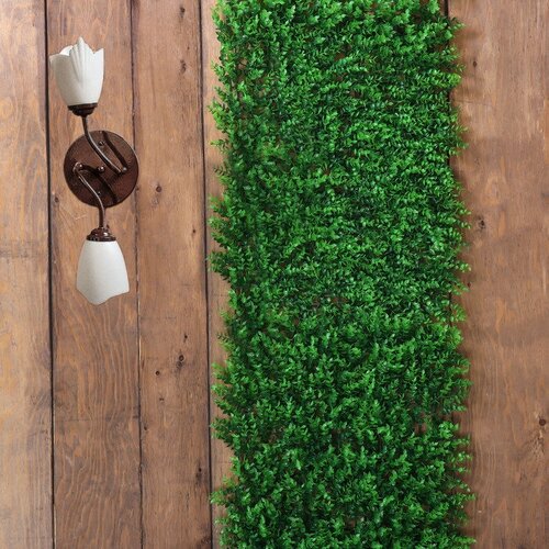 Декоративная панель, 60 × 40 см, «Самшит»