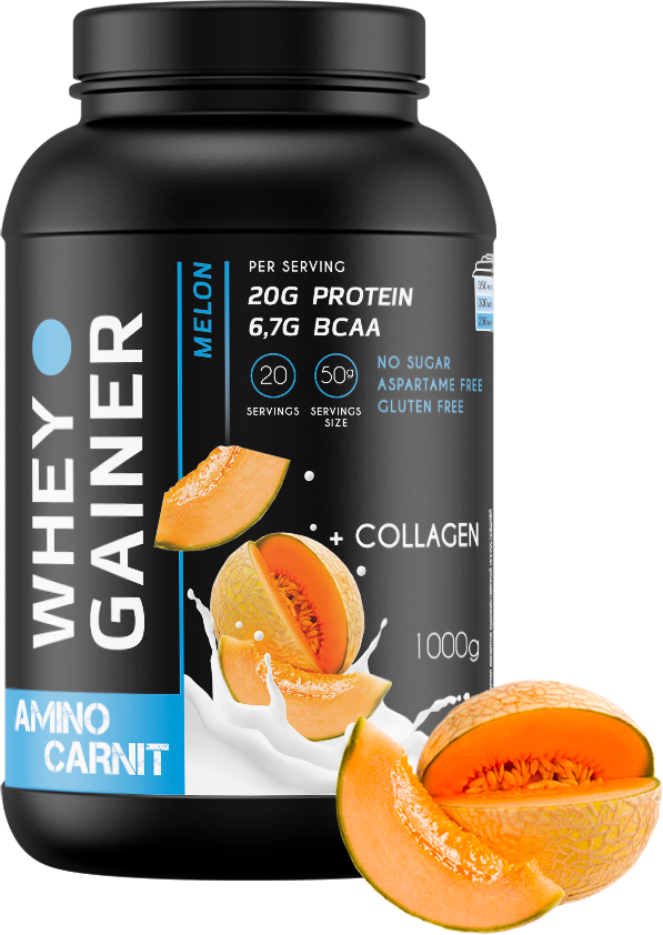 AminoCarnit Whey Gainer 1000 гр. дыня