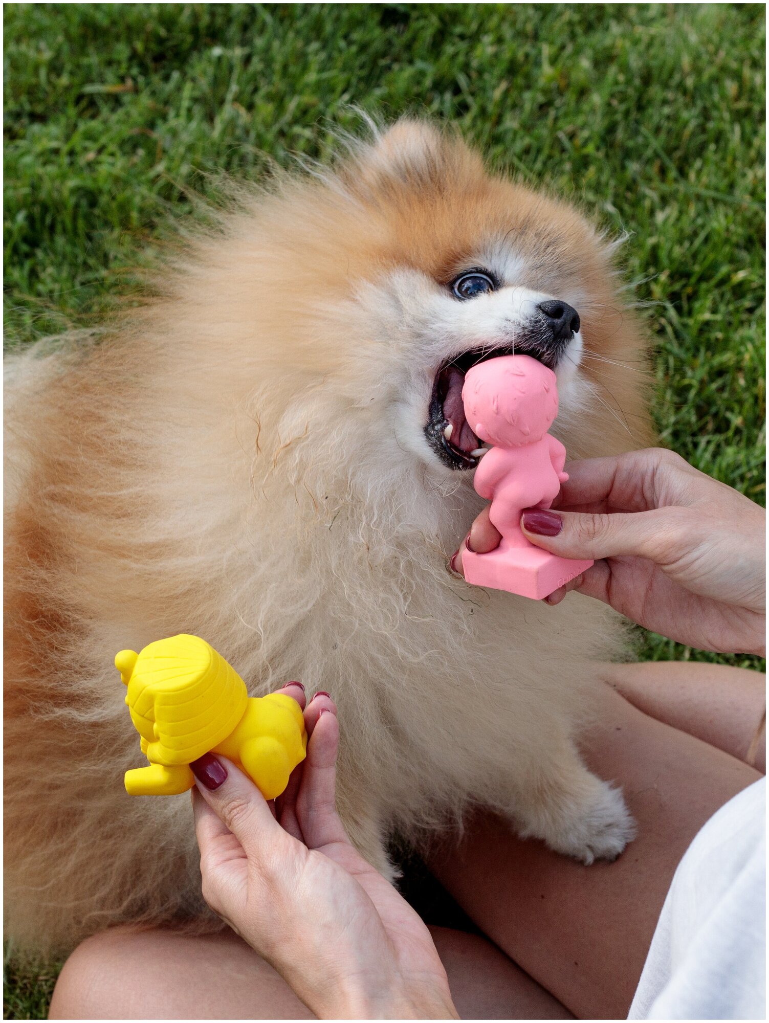 Игрушка для собак Japan Premium Pet латексная из серии "Чудеса света" в виде Писающего мальчика - фотография № 5