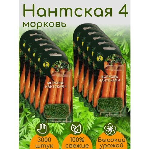 Морковь Нантская 4 семена Эм драже 10 упаковок