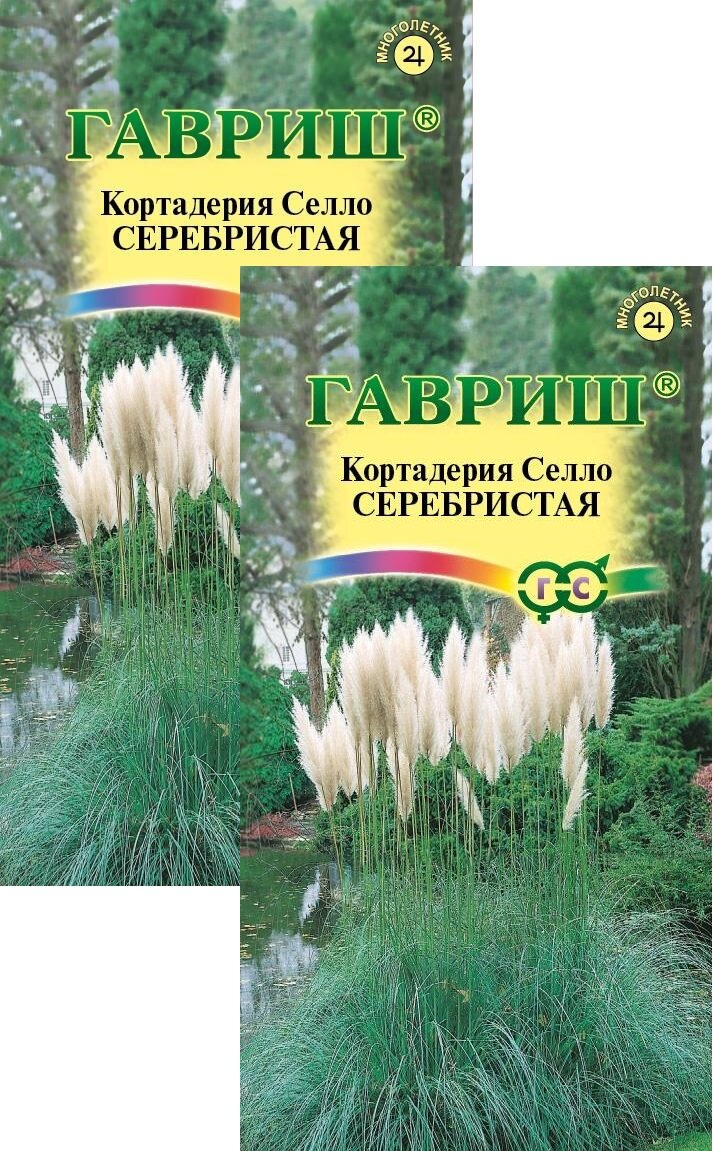 Семена Кортадерия (Пампасная трава) серебристая (001 г) 2 пакета