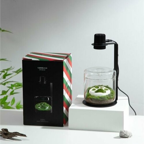 Подарочный набор флорариум Bioloark LH-03