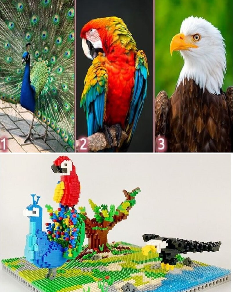 Конструктор 3D из миниблоков RTOY В мире животных попугай, павлин и орел 2120 элементов - JM6626