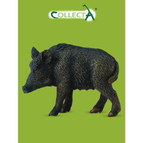 Фигурка животного Collecta, Дикая свинья фигурка collecta кистеухая свинья