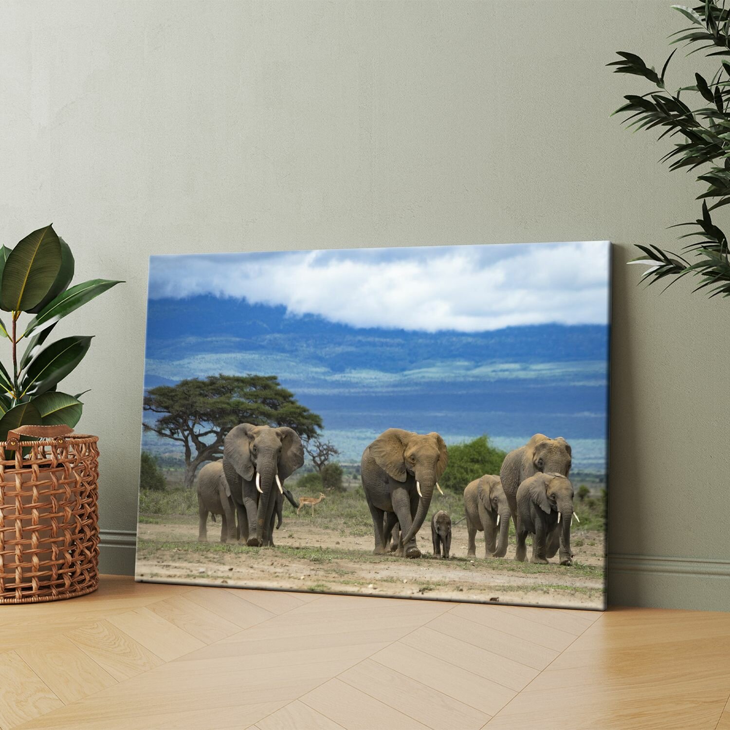 Картина на холсте (Африканский слон в саванне) 30x40 см. Интерьерная на стену.