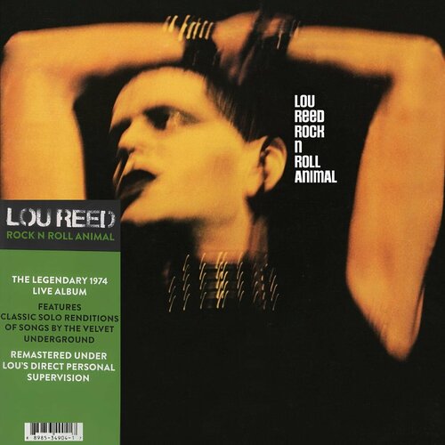 Lou Reed – Rock 'n' Roll Animal lou reed rock n roll animal remas