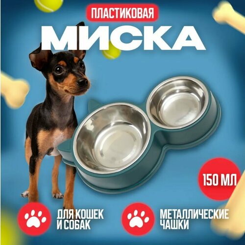 Миска пластиковая двойная с с металлическими чашками "котикикис", цв. бирюзовый, 30х5см 14см и 11см