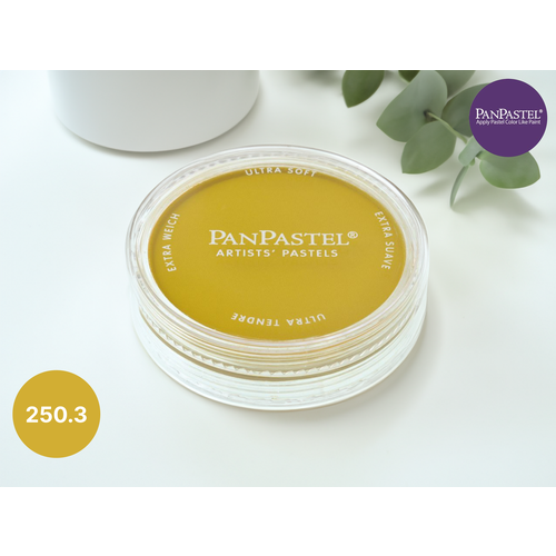 Пастель сухая PanPastel 250.3