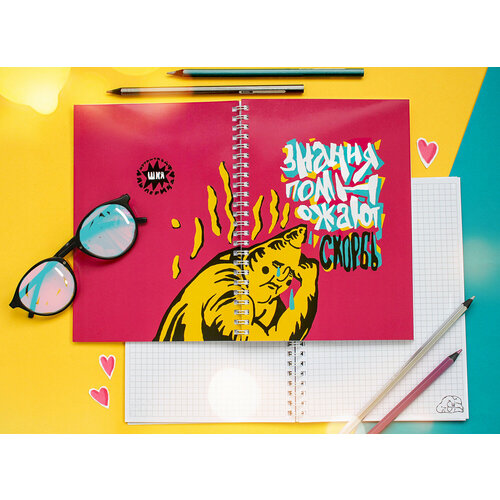 Тетрадь ШКЯ Скорбь 550₽