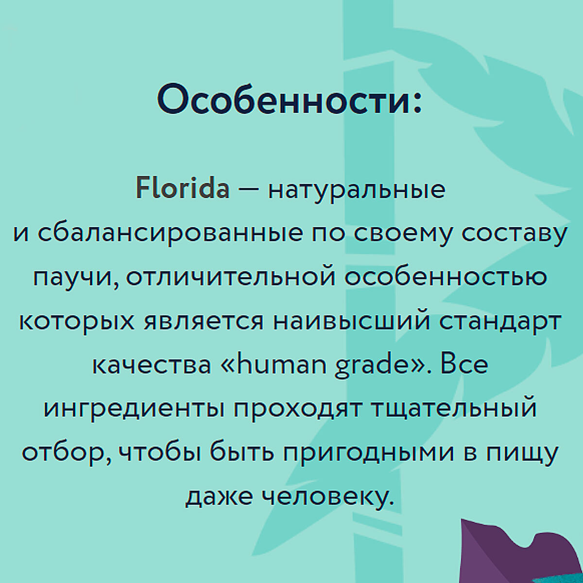 FLORIDA для взрослых кастрированных котов и стерилизованных кошек с индейкой в соусе (85 гр х 12 шт) — фото 1