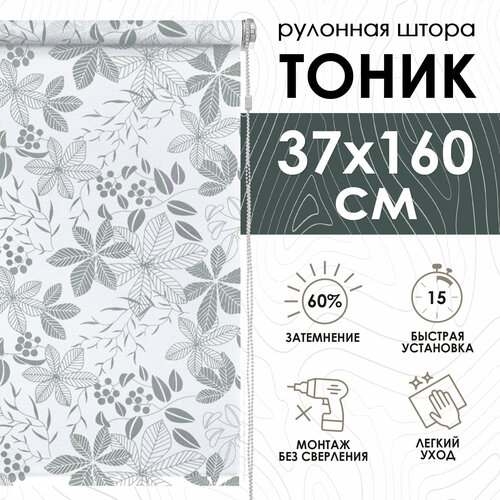 фото Рулонная штора эскар тоник, полиэстер, цвет серый, размер 37х160 см