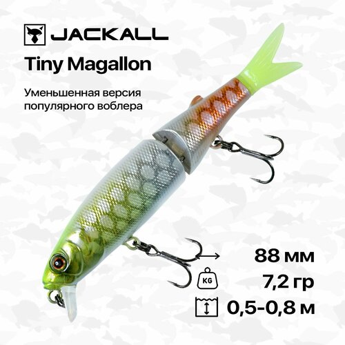 Воблер Jackall Tiny Magallon, 8,8 см, 7,2 гр, #Albino Chartreuse Piraruku