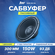 Сабвуфер AMP RAID 150, 12 дюймов, 30-200 Гц, номинальная мощность...