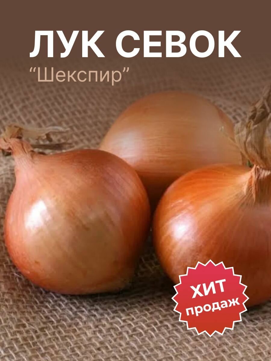 Лук севок  Шекспир  700г