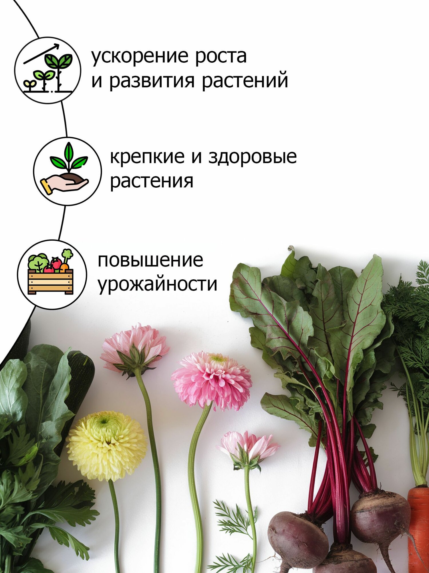 Изображение Био стимулятор Purshat 50 г для активного роста и яркого цветения растений - компактный формат, натуральный состав