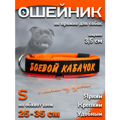 Ошейник для собак Buddy team на пряжке, с вышивкой боевой кабачок, ширина 3,5 см, с мягким подкладом для средних и крупных пород, размер S
