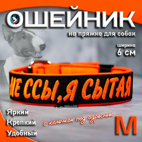 Ошейник для собак Buddy team на пряжке, с вышивкой НЕ ССЫ Я сытая, ширина 6 см, с мягким подкладом для средних и крупных пород, размер M