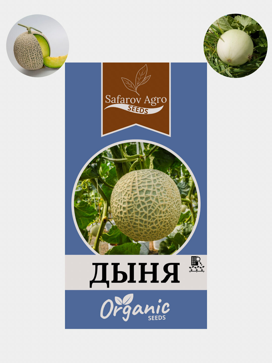 Дыня – это не только вкусный и ароматный фрукт, но и источник множества полезных веществ. Она