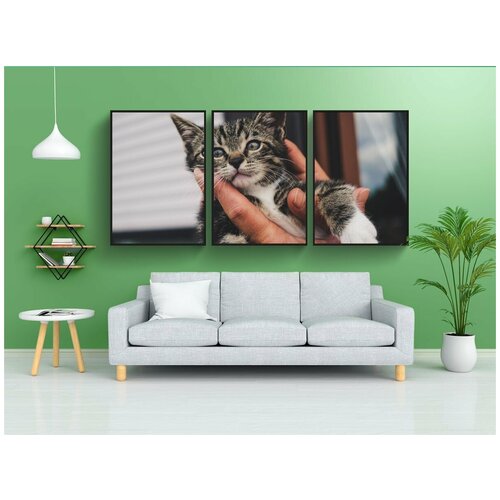 фото Набор модулных постеров для интерьера "кошка, котенок, рука" 60x90 см. в тубусе, без рамки lotsprints