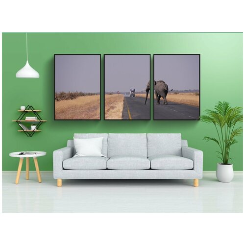 фото Набор модулных постеров для интерьера "ботсвана, слон, дорога" 60x90 см. в тубусе, без рамки lotsprints