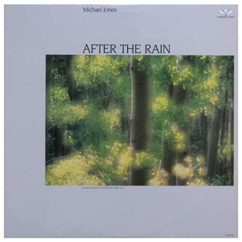 Michael Jones - After The Rain