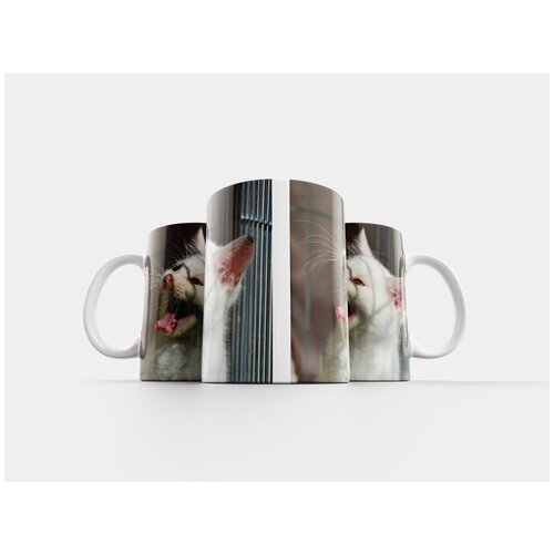 фото Кружка "крик, котенок, кот" 320 мл lotsprints