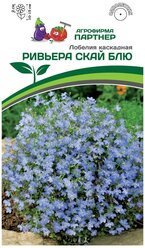 Семена Лобелии каскадной "ривьера скай БЛЮ" (10 шт