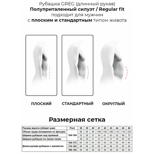 фото Рубашка мужская длинный рукав greg 313/131/8676/z, полуприталенный силуэт / regular fit, цвет серый, рост 174-184, размер ворота 42