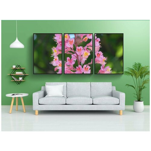 фото Набор модулных постеров для интерьера "красный конский каштан, соцветие, каштан" 60x90 см. в тубусе, без рамки lotsprints