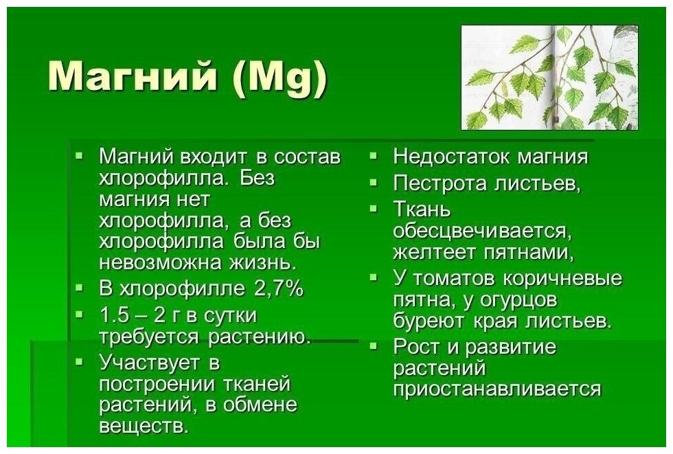 Регулятор роста, комплексное минеральное удобрение Сульфат магния 3 упаковки по 0,5 кг для подкормки и улучшения роста растений - фотография № 3