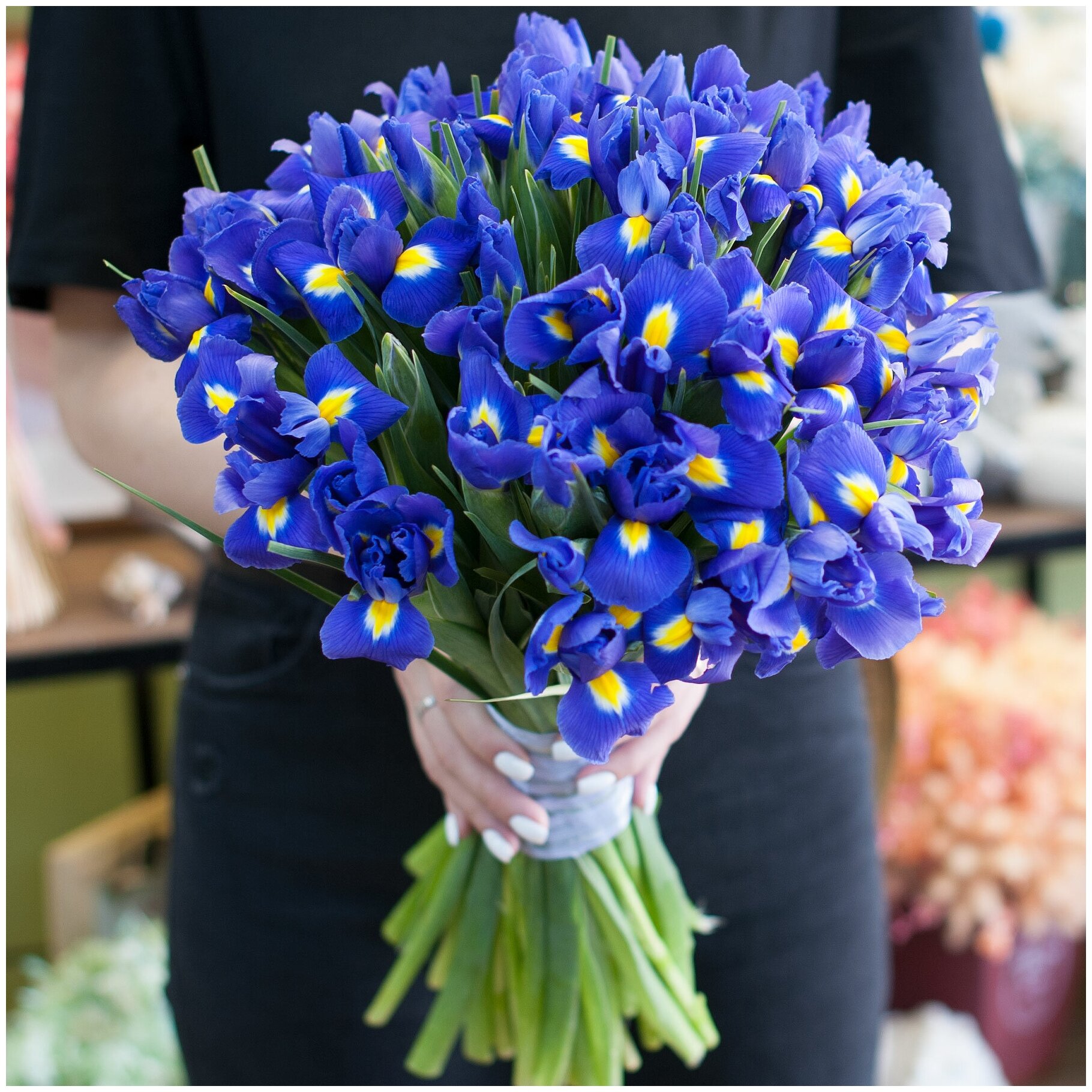 Купить цветы в интернет магазине ирисы цветы доставка срочно спб