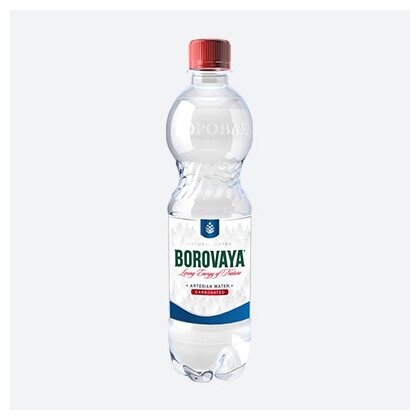 Вода питьевая BOROVAYA (Боровая), природная газированная, пэт 0.5 л х 12 шт - фотография № 3