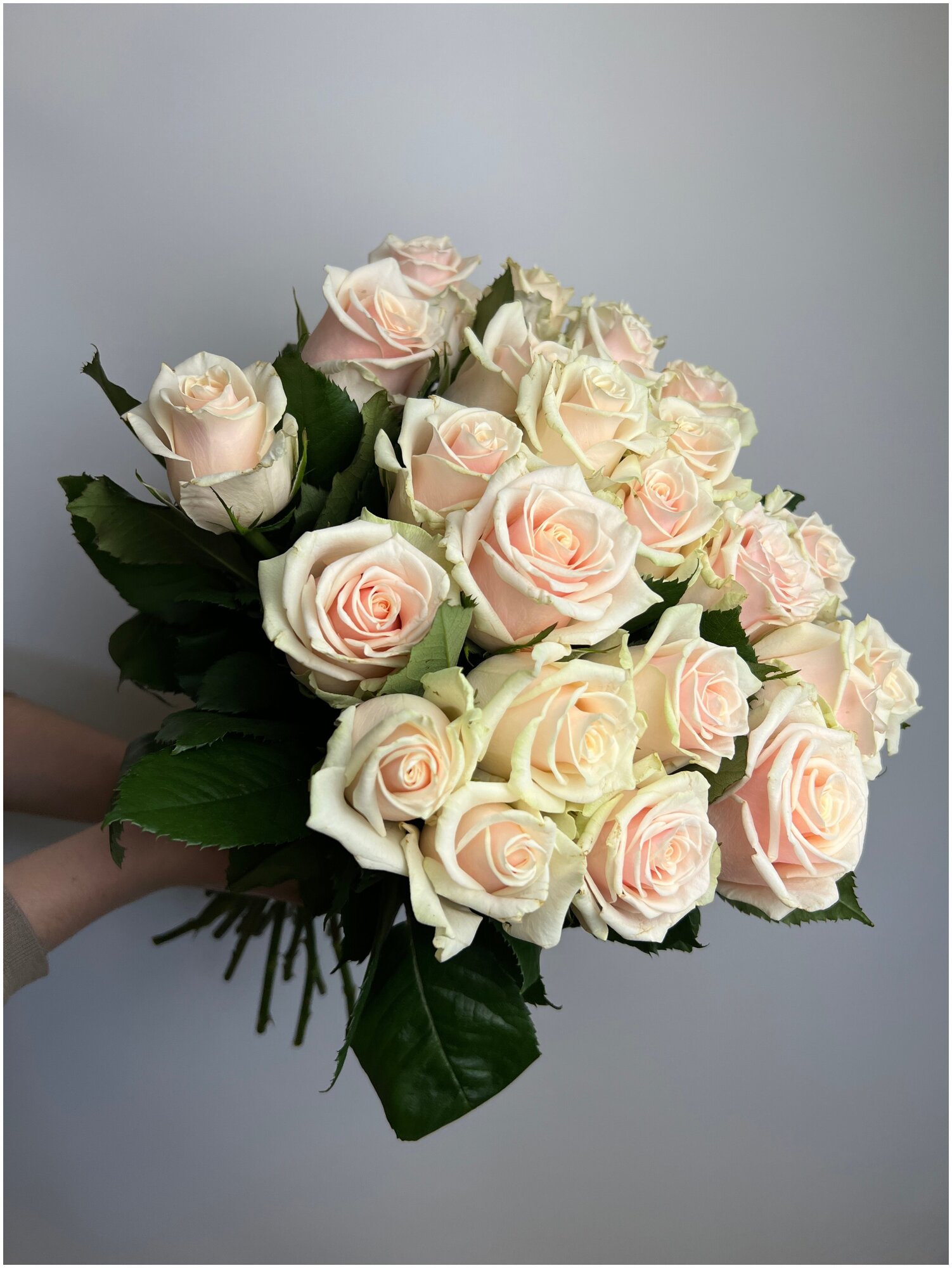 Букет из семи кремовых роз "Таллея" - 25 цветов, 50см
