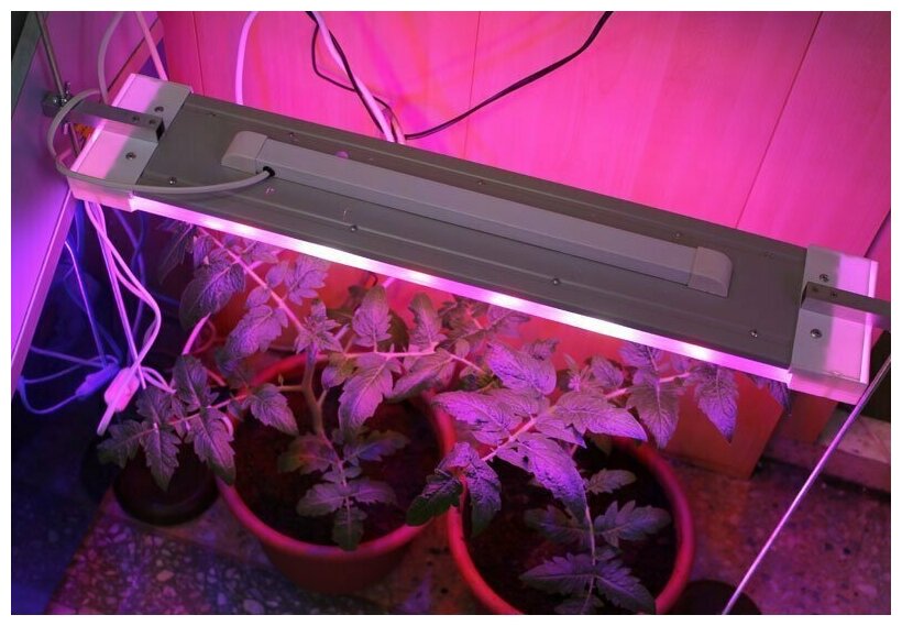 Светильник светодиодный для улучшения роста растений, 2 варианта установки, подвесной и колышек, 320 мм, 6 Вт, светло-розовый свет, цвет белый - фотография № 4