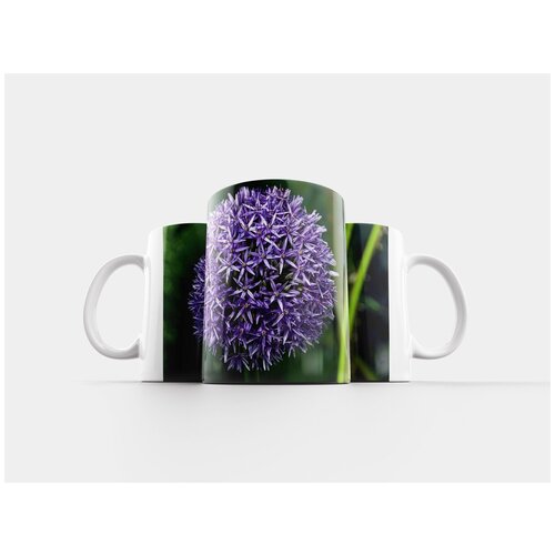 фото Кружка "декоративные лук, фиолетовый, цвести" 320 мл lotsprints
