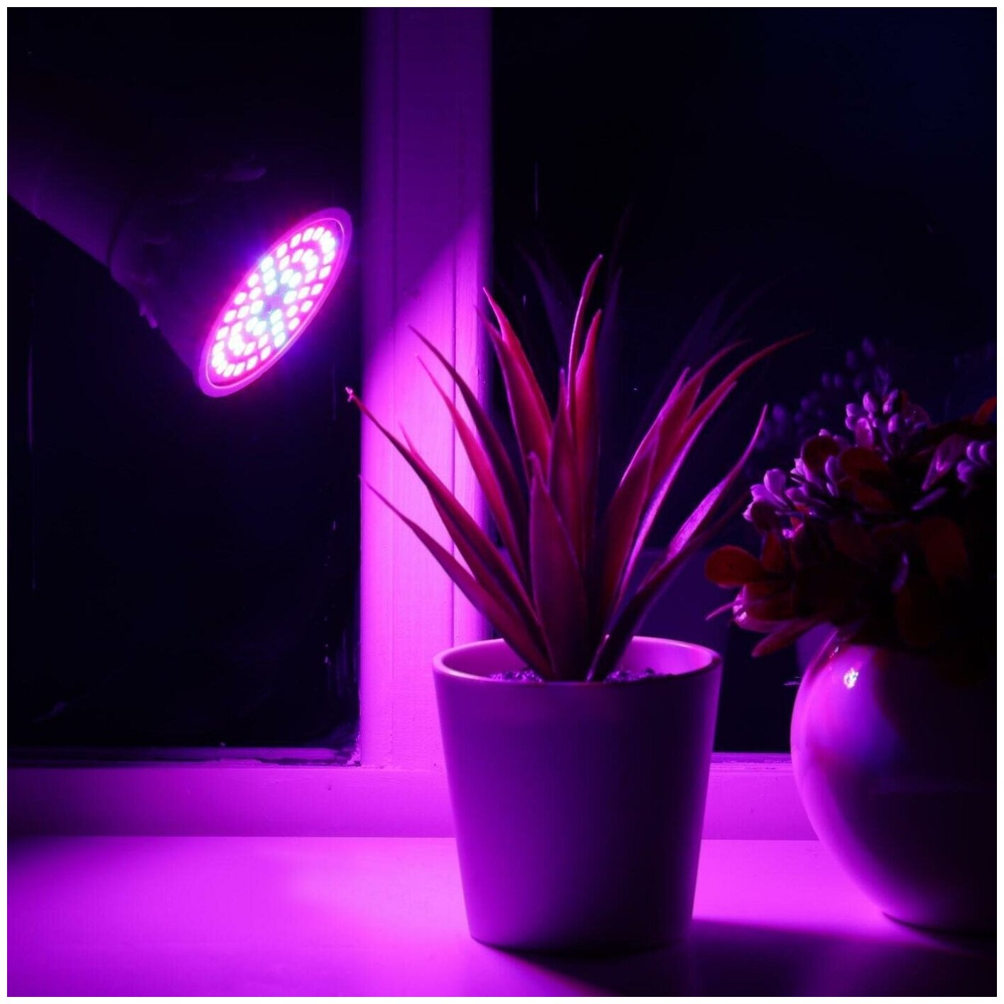Светодиодная лампа для растений Luazon Lighting, 3,5 Вт, E27, 220В (1 шт.)