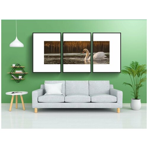 фото Набор модулных постеров для интерьера "лебедь, птицы, воды птицы" 60x90 см. в тубусе, без рамки lotsprints