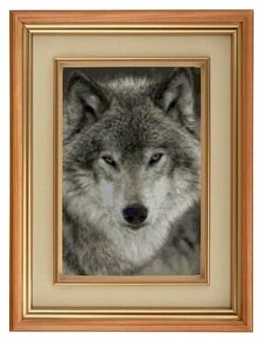 Набор для вышивания крестом Серый волк AF-0080, 19x28 см. канва, мулине
