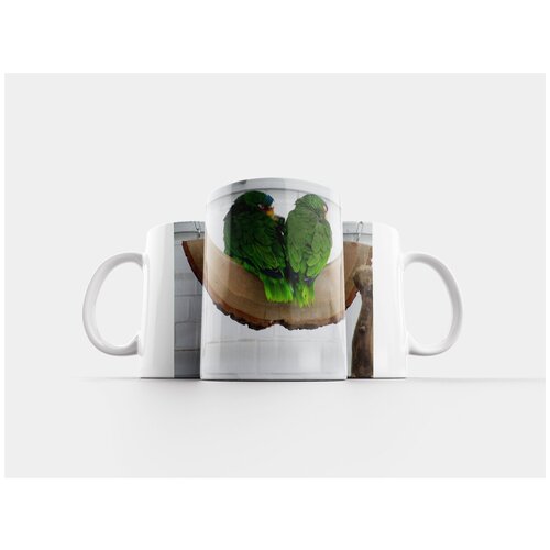 фото Кружка "зеленые попугаи, птицы, декоративные птицы" 320 мл lotsprints