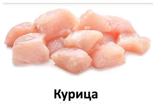 Сухой корм ALLEVA Equilibrium Cat Adult Chicken для взрослых кошек с курицей 1,5 кг 1110 - фотография № 14