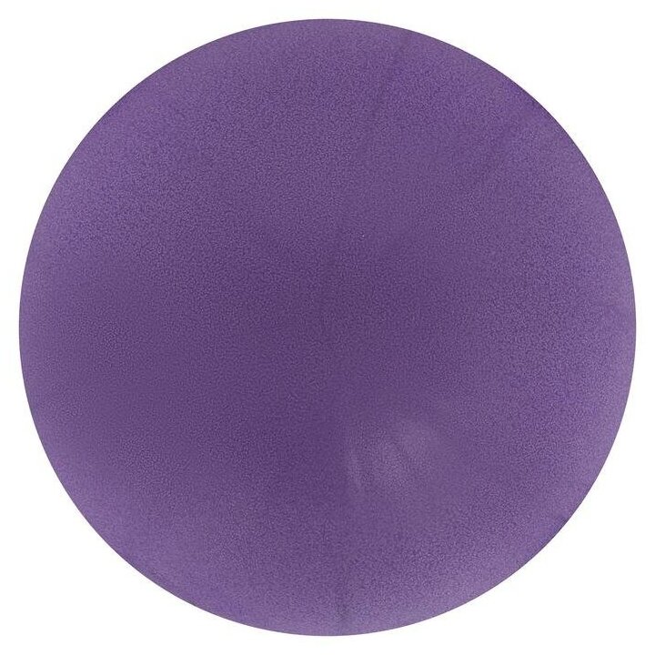 Мяч Sangh, для йоги, диаметр 25 см, вес 100 г, цвет фиолетовый