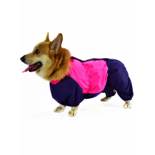 Комбинезон на Корги ДжекиДог мембранный для собаки-девочки 50 роз. неон